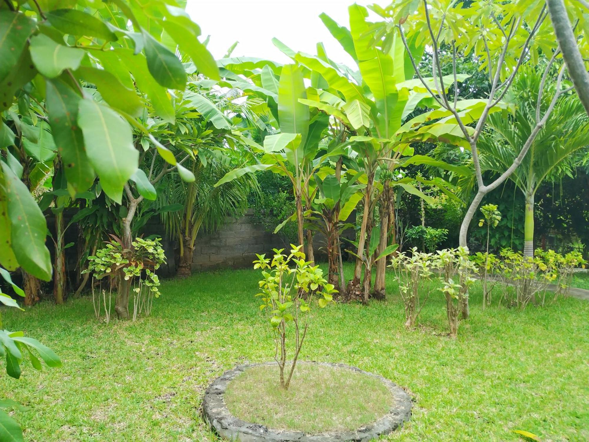 Asih Homestay 페무테란 외부 사진